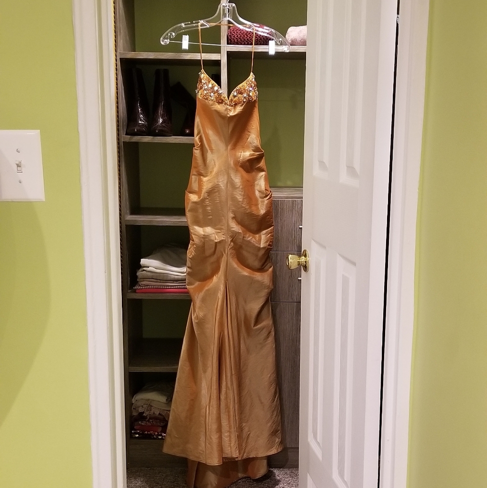 Prom/Evening/Formal Dress With Train